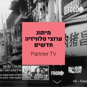 Partner TV
